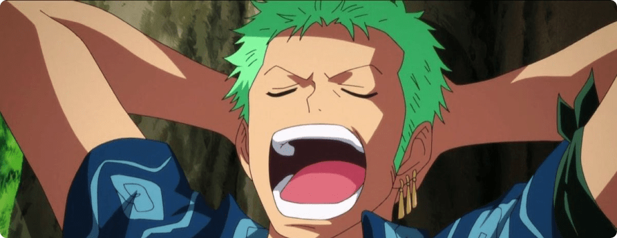 Roronoa Zoro