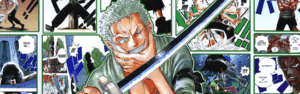 One Piece Zoro