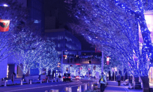 Japan Illuminations Buzz-Worthy To Visit and Experience