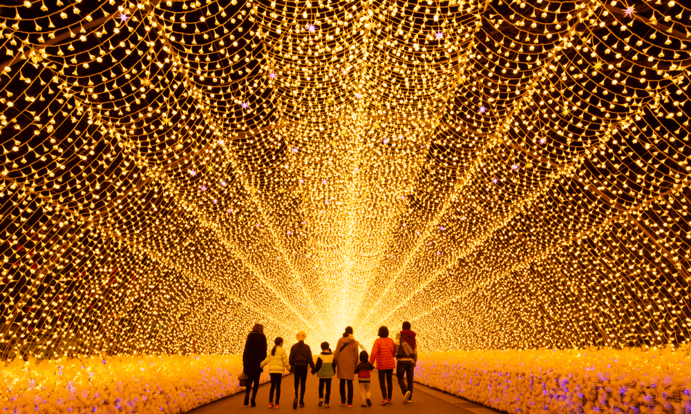 Japan Illuminations