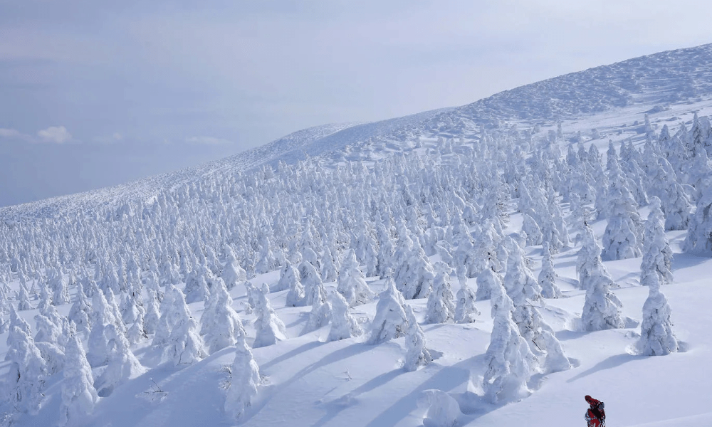 Winter Destinations In Japan