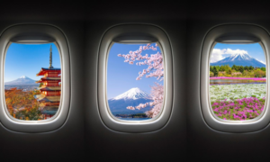 Affordable Japan Travel