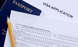 Business Manager Visa