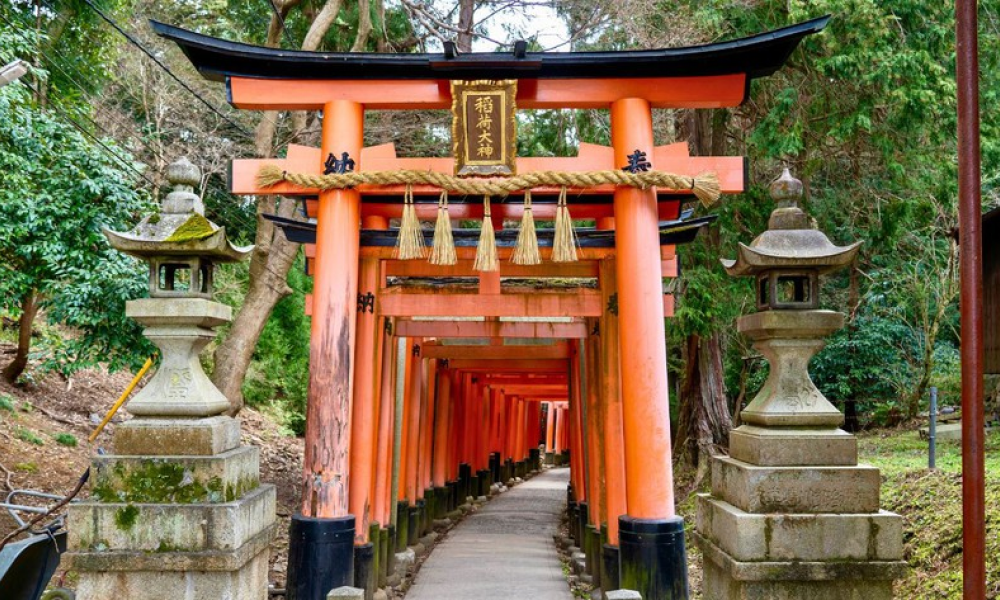 torii gates