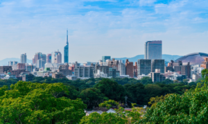 hidden local spots in fukuoka, spots in fukuoka that only locals know about, visit fukuoka, cherry blossoms, local delicacies, fukuoka prefecture, kushida shrine, view of the city, day trip, fukuoka tower, traditional japanese