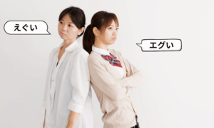 What does egui mean?, egui meaning, egui meaning in japanese