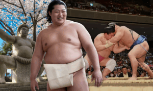 Gottsuan Desu, Sumo Wrestling, Sumo Wrestler