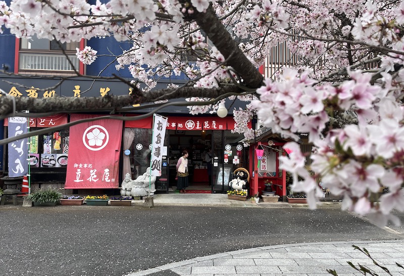 Japan Experience